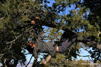 Seriously, monkey man - Williams, AZ