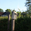 IMG_2696.jpg