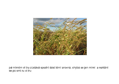 kamirova_turany_Page_21.jpg