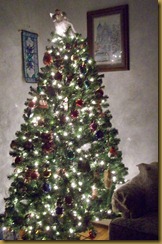 Christmas Tree 2010 Christmas Tree 2010