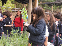 Dia de la Tierra en Bosque Santiago 057.jpg