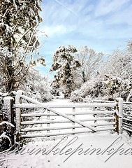 [snow35.jpg]