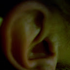 100_1434.JPG