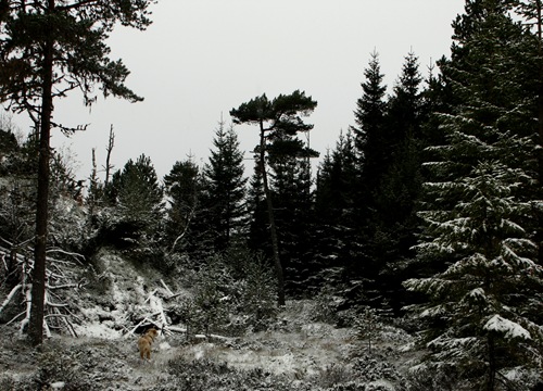 _MG_0047-1