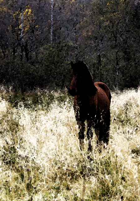 hest-maleri