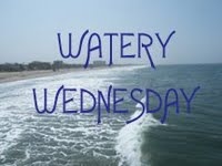 WateryWed2b