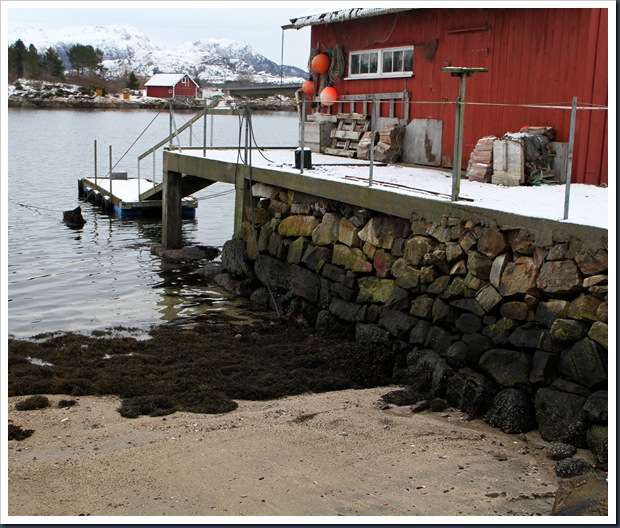 Fj&oslash;re