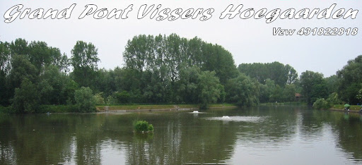 GRAND PONT VISSERS HOEGAARDEN VZW 431822818
