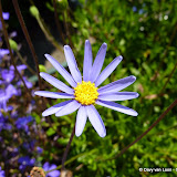 REVIEW - Photo's made with Panasonic DMC-TZ7