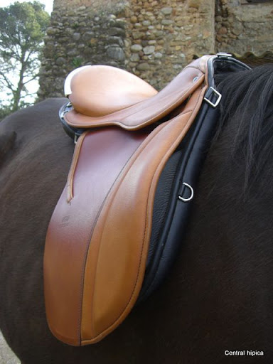 Montura Scout de Stubben