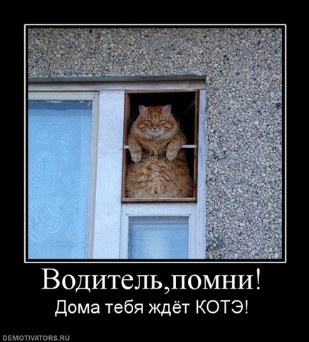[838809_voditelpomni[2].jpg]