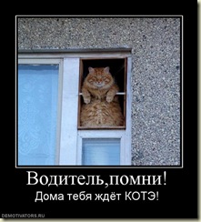 План работ на неделю. Марафон 500 долларов в месяц.
