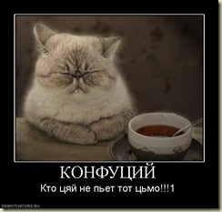 План на 12 день марафона.