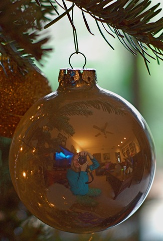 [DSC_0008[2].jpg]
