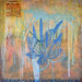 Spiritual Medicine  XII
