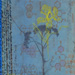Medicine VI