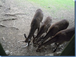Picture 037