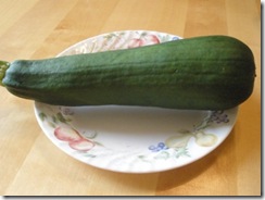 huge zucchini