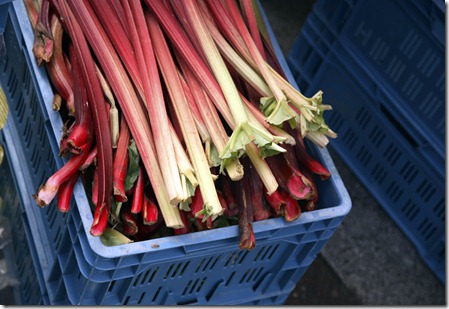 Rhubarb