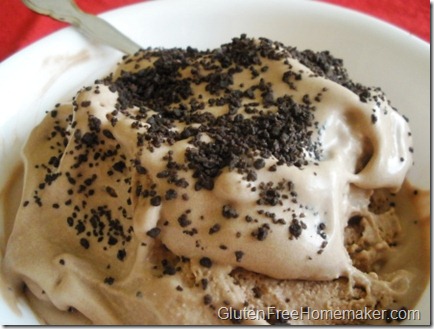 coconut chocolate ice cream coconut chocolate ice cream
