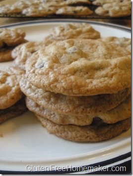 chocolate chip cookies - dairy free 2