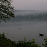 IMGP3621.JPG