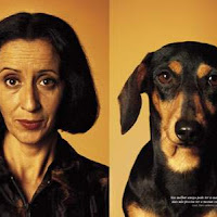 Perros05.jpg