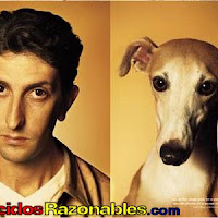 Perros01.jpg