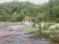 Cahaba River Lilly Bloom Photo Cahaba River Lilly Bloom Photo