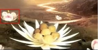 [pelita tulip[7].jpg]