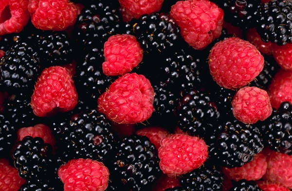 [berries[3].jpg]