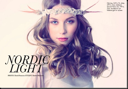 Nordic-light