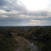 Ochtend in de duinen