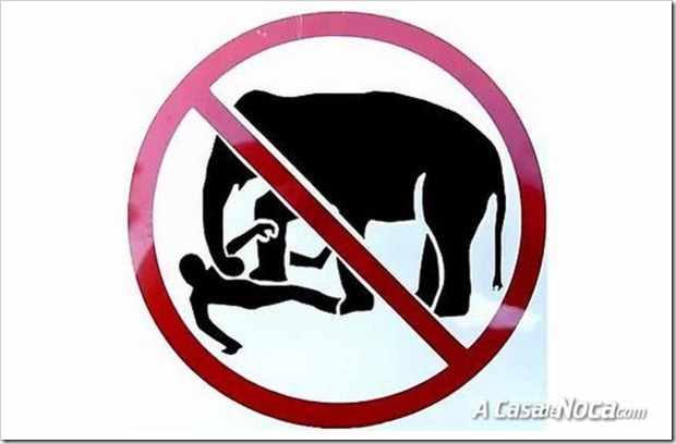 foreign_signs_07