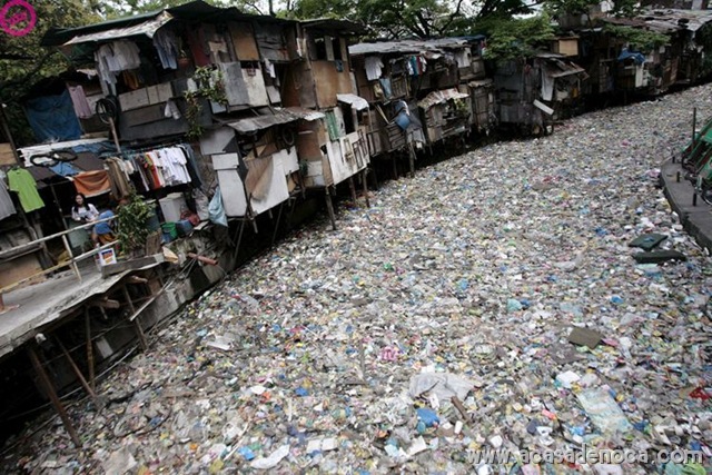 [plastic_04[10].jpg]