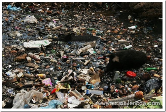 plastic_14