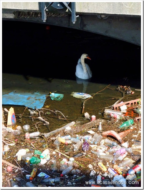 plastic_17