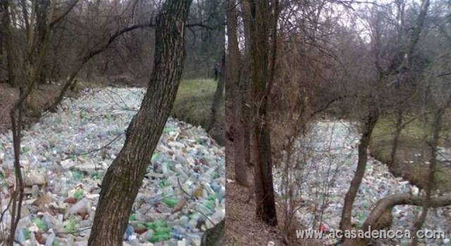 [plastic_18[10].jpg]
