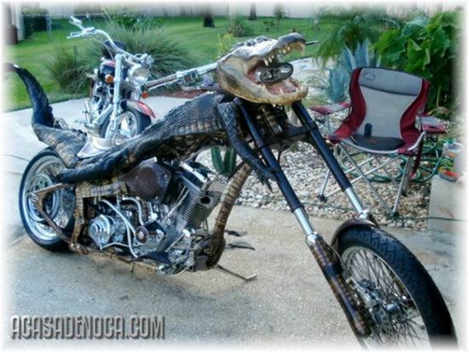 harley1