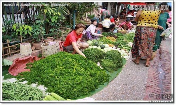 asian_market_01
