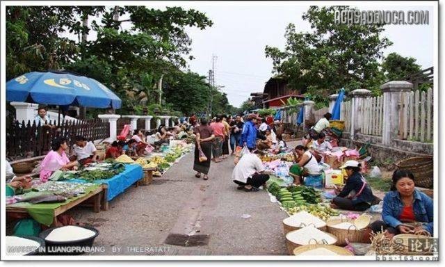 [asian_market_05[8].jpg]