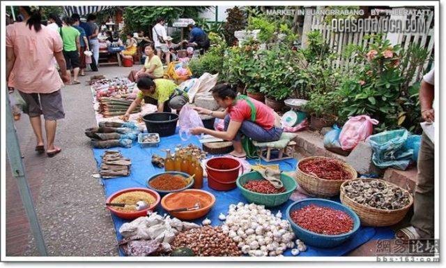 [asian_market_15[8].jpg]