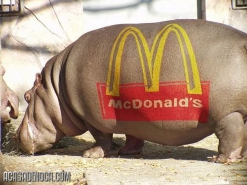 [macdonalds_mensagem_subliminar[11].jpg]