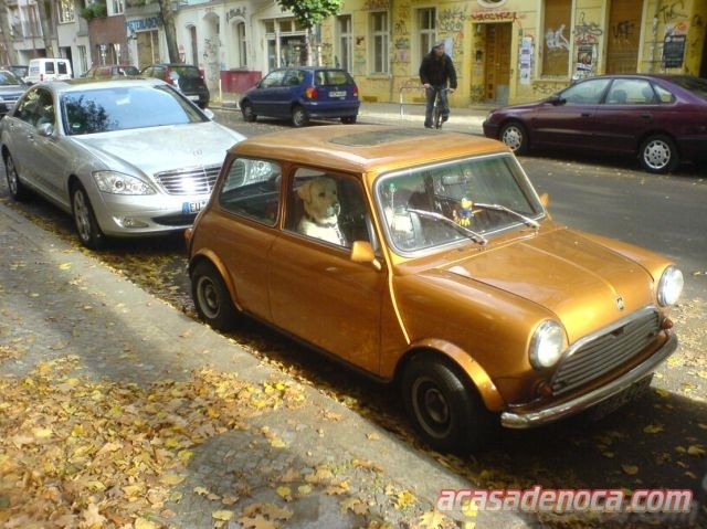 [fica no carro[3].jpg]