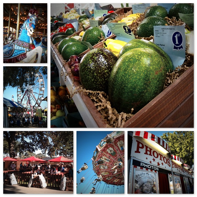 County fair collage