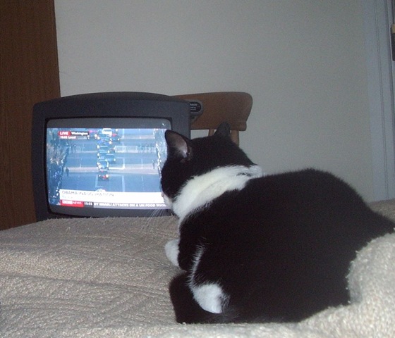 [watching the inauguration[2].jpg]