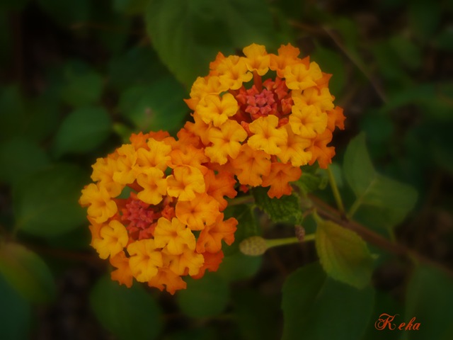 [P1050257[9].jpg]