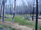 Hiking back down to Yosemite Valley.