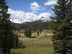 Tuolumne Meadows