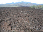 Lave fields at the Ahihi Keanau Reserve.